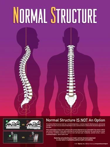Chiropractic Auburn WA Normal Structure
